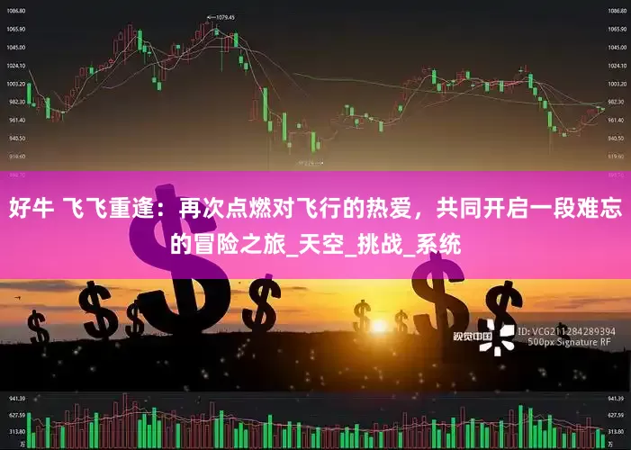 好牛 飞飞重逢：再次点燃对飞行的热爱，共同开启一段难忘的冒险之旅_天空_挑战_系统