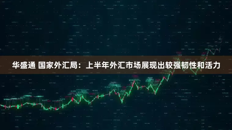 华盛通 国家外汇局：上半年外汇市场展现出较强韧性和活力