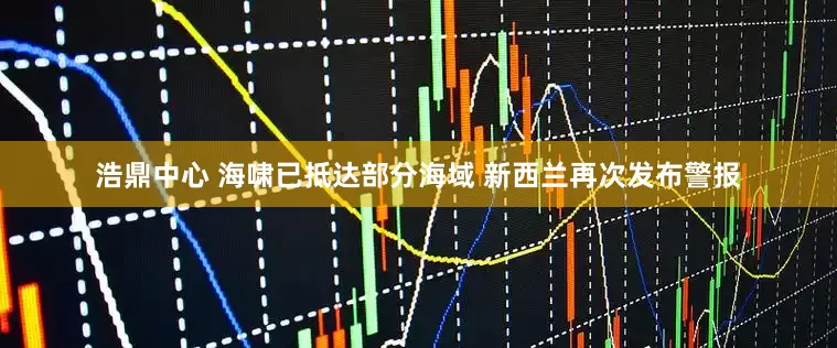 浩鼎中心 海啸已抵达部分海域 新西兰再次发布警报